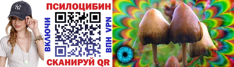 Псилоцибиновые грибы GOLDEN TEACHER  Навашино 